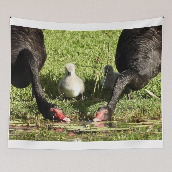 Item preview, Dundowran Beach Swans designed and sold by Mark Grimsley.