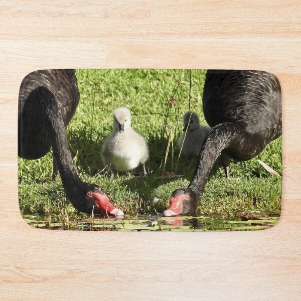 Item preview, Dundowran Beach Swans designed and sold by Mark Grimsley.