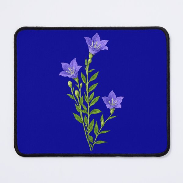 Item preview, Arranged balloon flower (Kikyo) アレンジバージョンの桔梗 designed and sold by Peace Culture Shanghai.