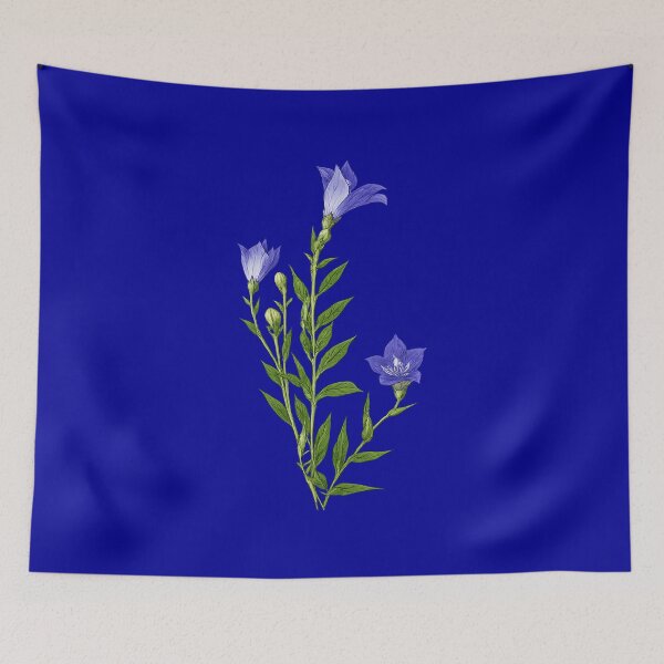Item preview, Original balloon flower (Kikyo) オリジナルバージョンの桔梗 designed and sold by Peace Culture Shanghai.