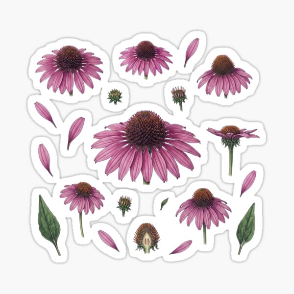 Item preview, Purple Echinacea Botanical Flower designed and sold by Bio Tech Art.