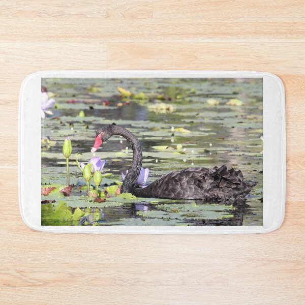 Item preview, Australian Black Swan Swimming Among Water Lilies designed and sold by 27Tammy27.
