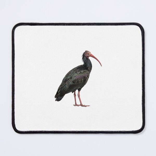 Item preview, Northern Bald Ibis designed and sold by ArunDandiboina.