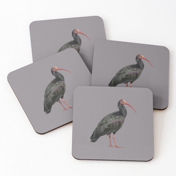 Item preview, Northern Bald Ibis designed and sold by ArunDandiboina.