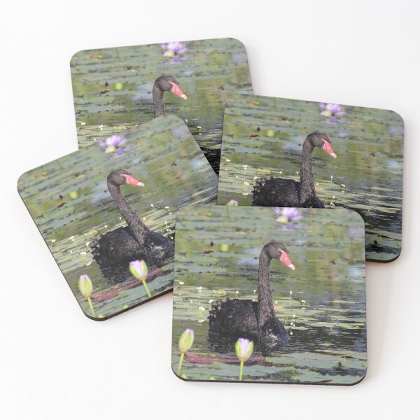 Item preview, Graceful Black Swan Gliding Past Water Lilies designed and sold by 27Tammy27.