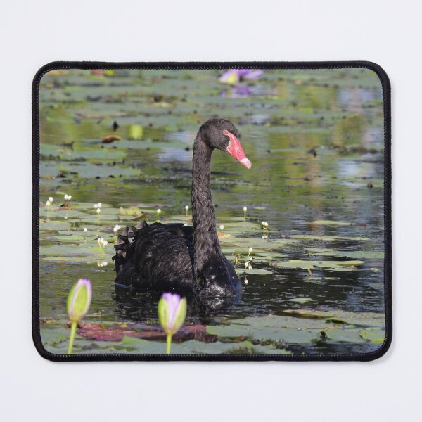 Item preview, Graceful Black Swan Gliding Past Water Lilies designed and sold by 27Tammy27.