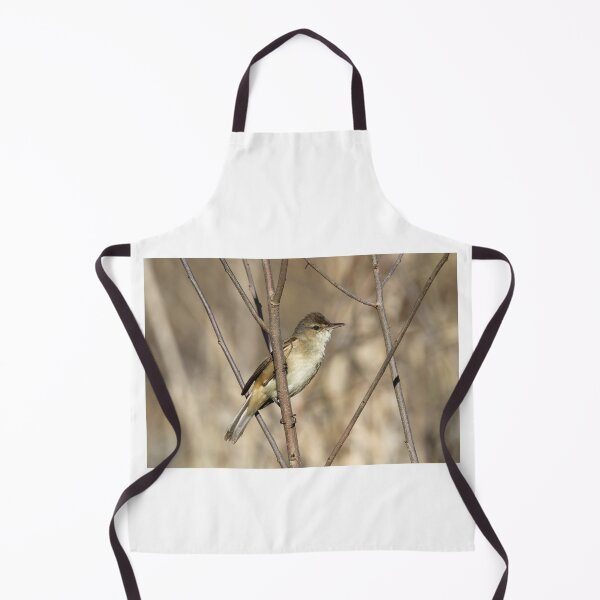 Item preview, Australian Reed Warbler Perched On Branches designed and sold by 27Tammy27.