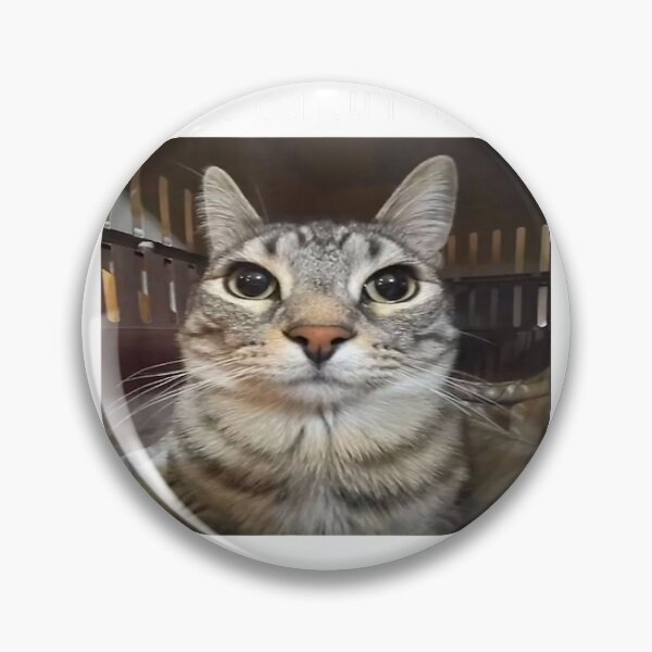 Item preview, Rage is Consuming Me Silly Staring Cat Meme T-Shirt designed and sold by KTY-NUSS.