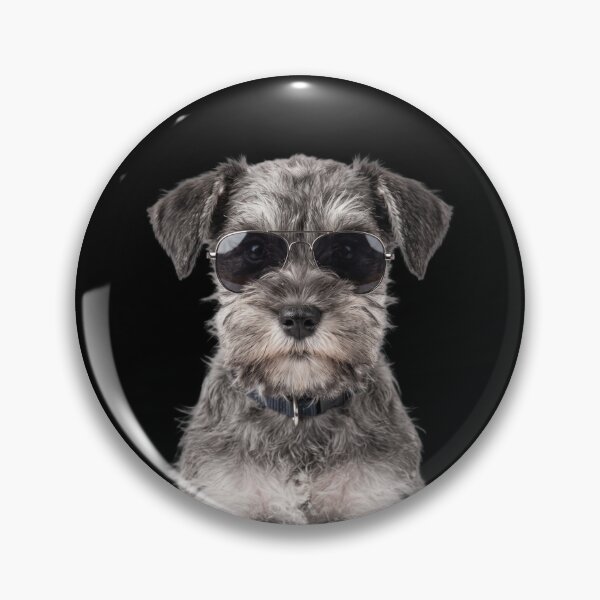 Item preview, Cute Baby Schnauzer Wearing Sunglasses Funny designed and sold by RareLavender.