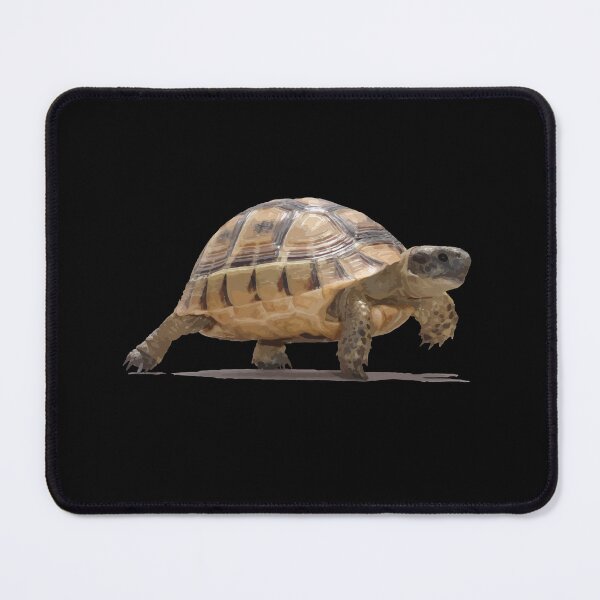Item preview, Marching Baby Tortoise Cartoon Vector Isolated designed and sold by taiche.