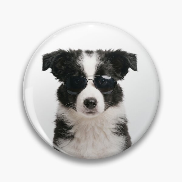 Item preview, Cute Baby Border Collie Dog Wearing Sunglasses Funny designed and sold by RareLavender.