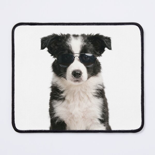 Item preview, Cute Baby Border Collie Dog Wearing Sunglasses Funny designed and sold by RareLavender.