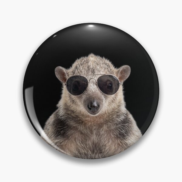 Item preview, Cute Baby Anteater Wearing Sunglasses Funny designed and sold by RareLavender.