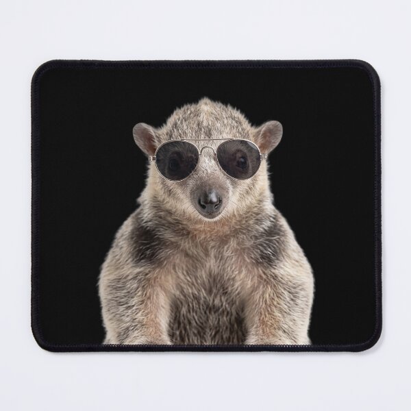 Item preview, Cute Baby Anteater Wearing Sunglasses Funny designed and sold by RareLavender.