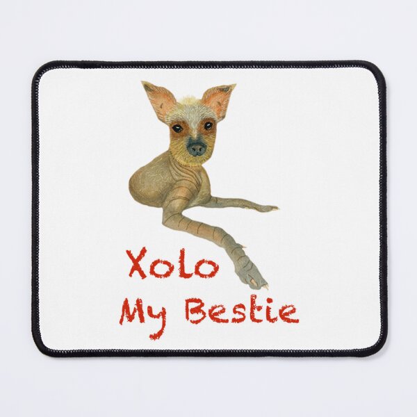Item preview, Xolo My Bestie Cute Mexican Hairless Dog designed and sold by Ozkrsart.