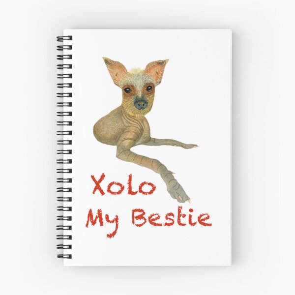Item preview, Xolo My Bestie Cute Mexican Hairless Dog designed and sold by Ozkrsart.