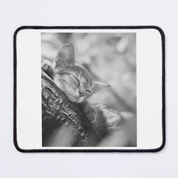 Item preview, Peaceful Kitten Sleeping designed and sold by Candic-eZieme.