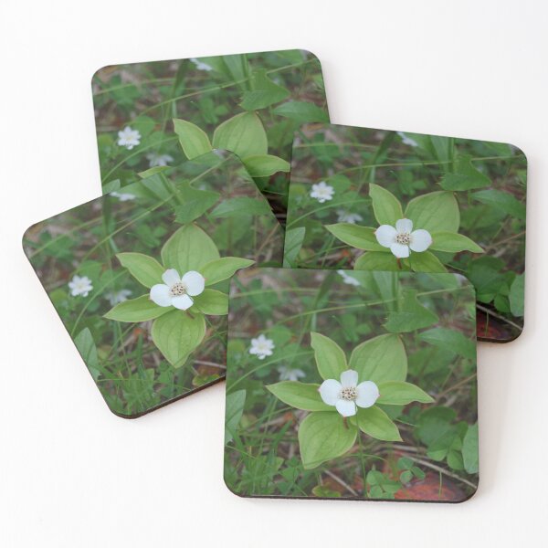 Item preview, Bunchberry designed and sold by Pandas-Place.