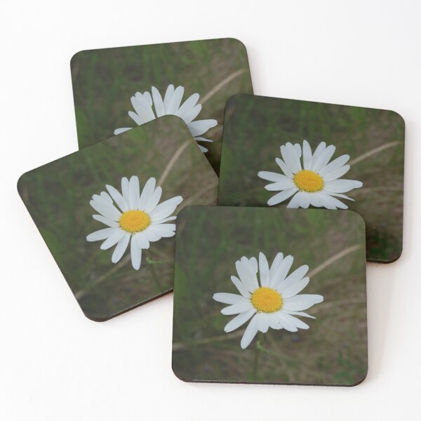 Item preview, Daisy designed and sold by Pandas-Place.