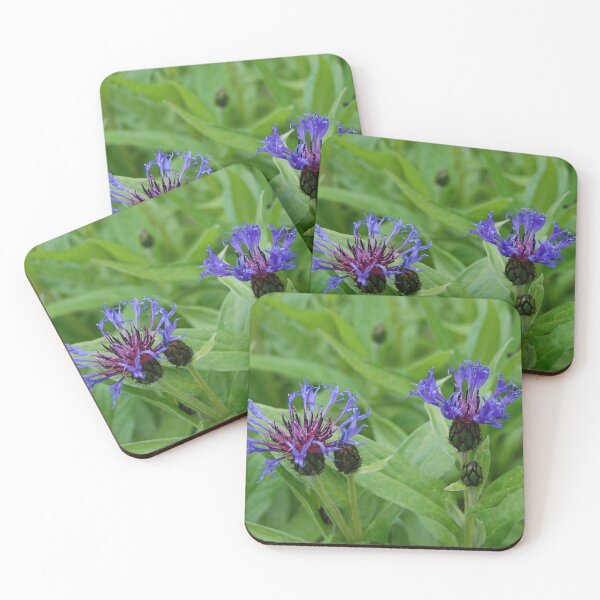Item preview, Mountain Cornflower designed and sold by Pandas-Place.