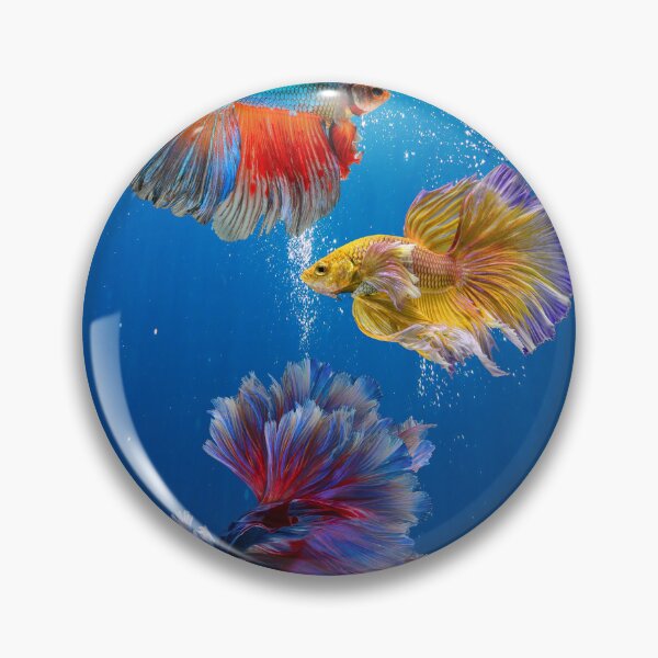 Item preview, Colorful Betta Fish Trio in Blue Water designed and sold by behappyandrelax.