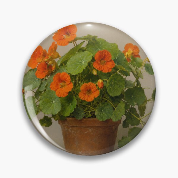 Item preview, Nasturtiums  still-life. designed and sold by moths-minor.