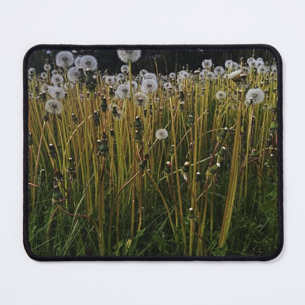 Item preview, Field of Dandelions designed and sold by Pandas-Place.