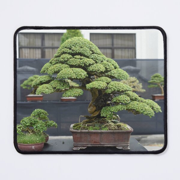 Item preview, Zen Garden Nature Photography designed and sold by EchoWave11.