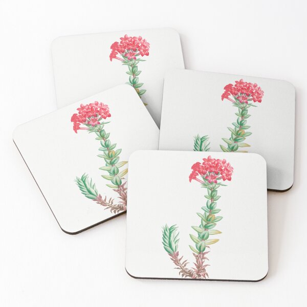 Item preview, Red Crassula Flowers Vintage Botanical Illustration designed and sold by TheRetroArtRoom.