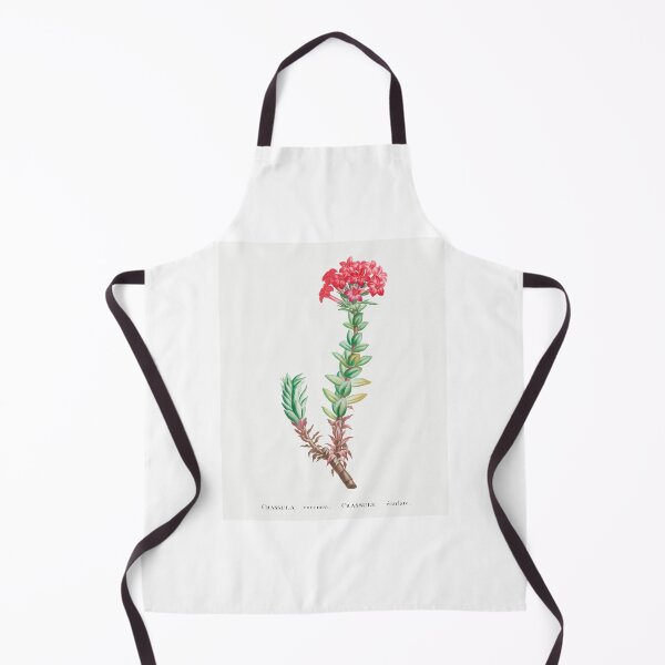 Item preview, Red Crassula Flowers Vintage Botanical Illustration designed and sold by TheRetroArtRoom.