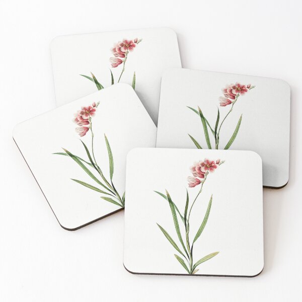 Item preview, Ixia Hyalina Flowers Vintage Botanical Illustration designed and sold by TheRetroArtRoom.
