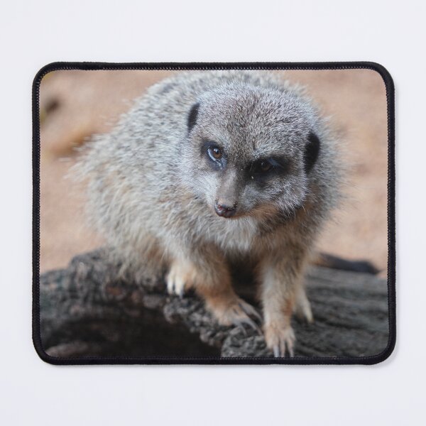 Item preview, Curious Meerkat Standing Alert in the Wild designed and sold by ShaimaaEl.