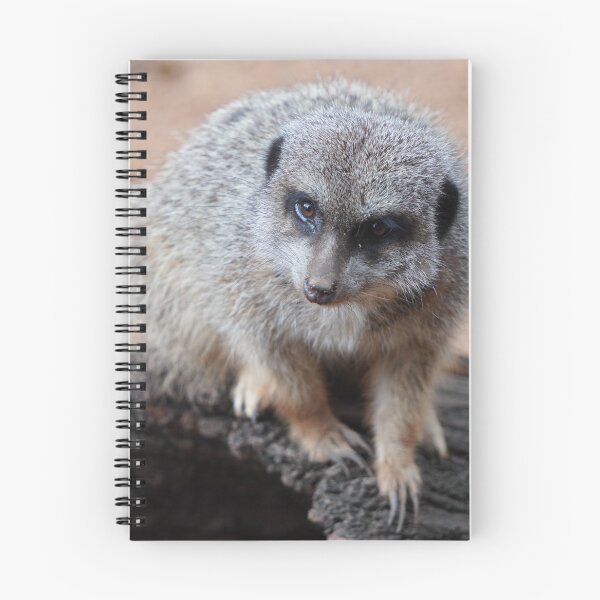 Item preview, Curious Meerkat Standing Alert in the Wild designed and sold by ShaimaaEl.