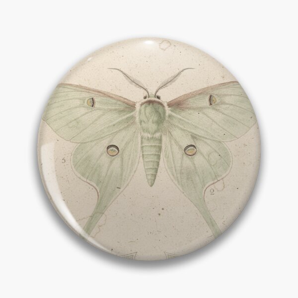 Item preview, Luna Moth Specimen Study designed and sold by PictorialWhimsy.