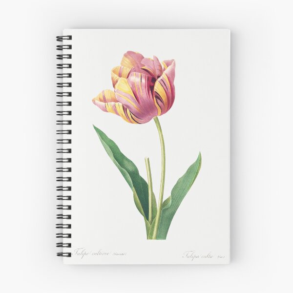 Item preview, Tulip Flowers Vintage Botanical Illustration designed and sold by TheRetroArtRoom.