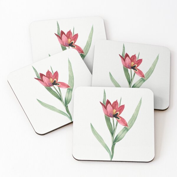 Item preview, Sun's-Eye Tulip Flowers Vintage Botanical Illustration designed and sold by TheRetroArtRoom.