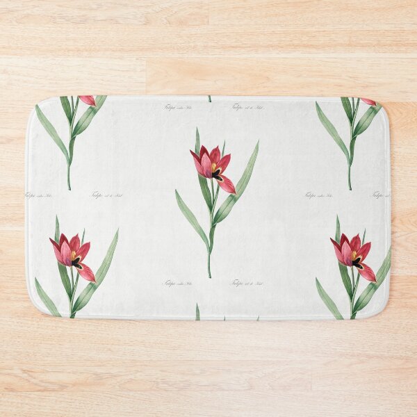 Item preview, Sun's-Eye Tulip Flowers Vintage Botanical Illustration designed and sold by TheRetroArtRoom.