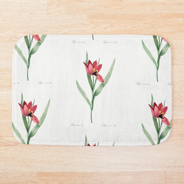Item preview, Sun's-Eye Tulip Flowers Vintage Botanical Illustration designed and sold by TheRetroArtRoom.