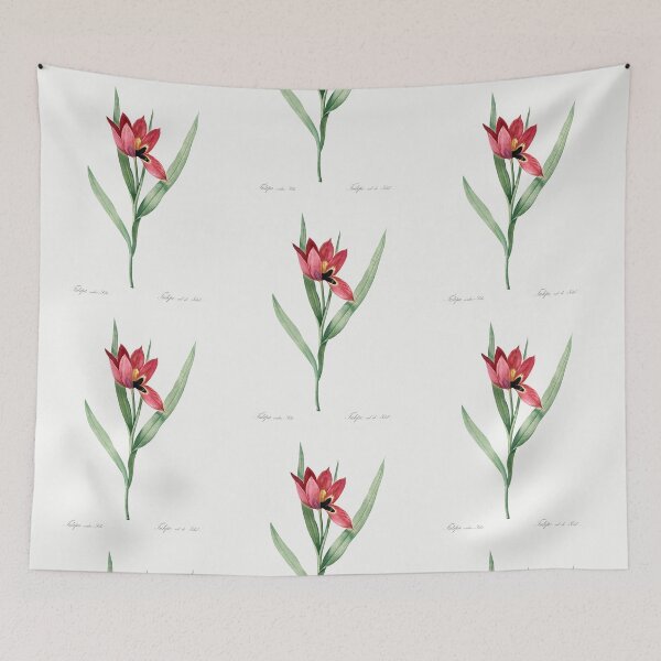 Item preview, Sun's-Eye Tulip Flowers Vintage Botanical Illustration designed and sold by TheRetroArtRoom.
