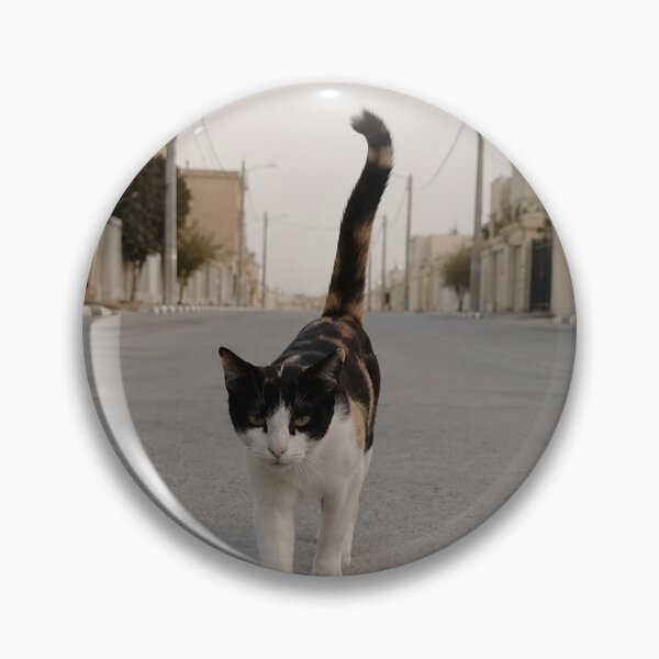 Item preview, Cat walk designed and sold by Ragulraj1.