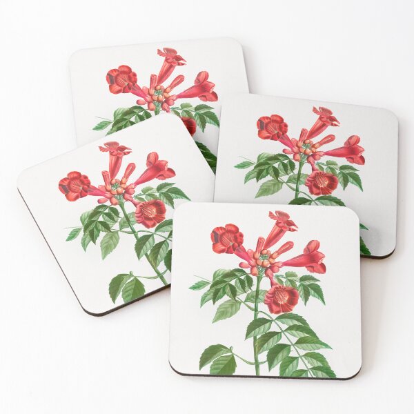 Item preview, Trumpet Vine Flowers Vintage Botanical Illustration designed and sold by TheRetroArtRoom.