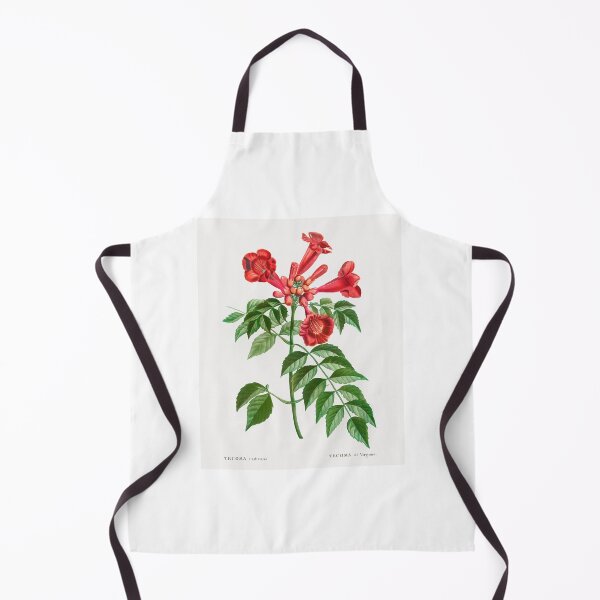 Item preview, Trumpet Vine Flowers Vintage Botanical Illustration designed and sold by TheRetroArtRoom.