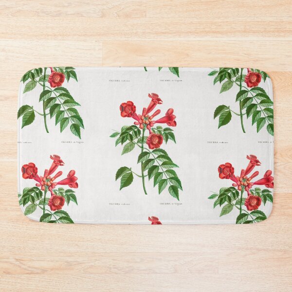 Item preview, Trumpet Vine Flowers Vintage Botanical Illustration designed and sold by TheRetroArtRoom.