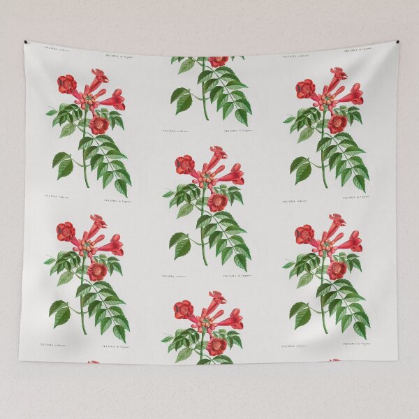 Item preview, Trumpet Vine Flowers Vintage Botanical Illustration designed and sold by TheRetroArtRoom.