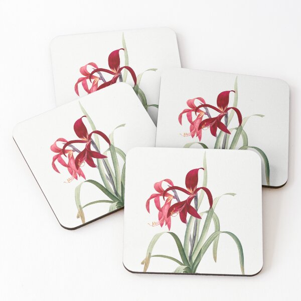 Item preview, Aztec Lily Flowers Vintage Botanical Illustration designed and sold by TheRetroArtRoom.