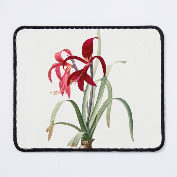 Item preview, Aztec Lily Flowers Vintage Botanical Illustration designed and sold by TheRetroArtRoom.