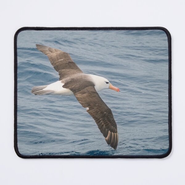 Item preview, Black-Browed Albatross Gliding Over Ocean Waves designed and sold by PhotoArt by Joan Carroll.