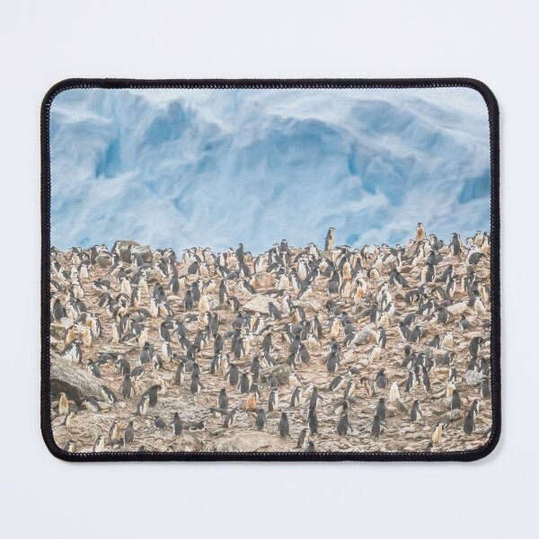 Item preview, Chinstrap Penguin Colony on Elephant Island designed and sold by PhotoArt by Joan Carroll.