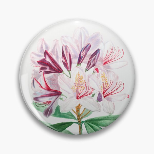Item preview, Rhododendron Flowers Vintage Botanical Illustration designed and sold by TheRetroArtRoom.