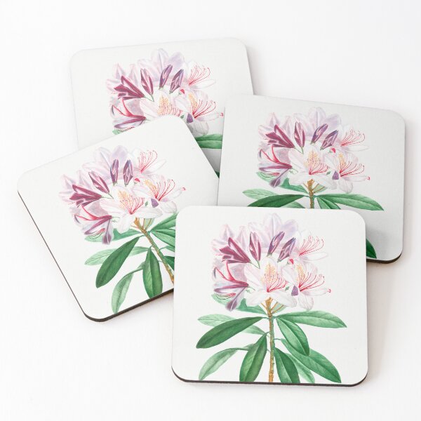 Item preview, Rhododendron Flowers Vintage Botanical Illustration designed and sold by TheRetroArtRoom.
